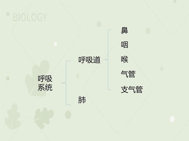 4.3.1呼吸道对空气的处理(教学课件)-2022-2023学年初中生物人教版七年级下册第7页