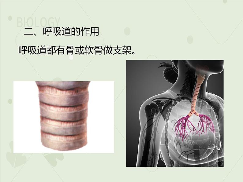 4.3.1呼吸道对空气的处理(教学课件)-2022-2023学年初中生物人教版七年级下册第8页