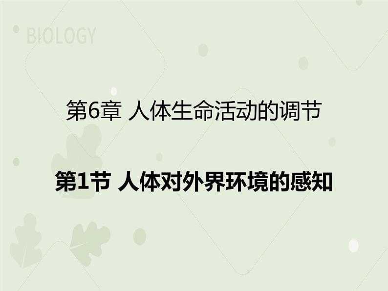 4.6.1人体对外界环境的感知(教学课件)-2022-2023学年初中生物人教版七年级下册第1页