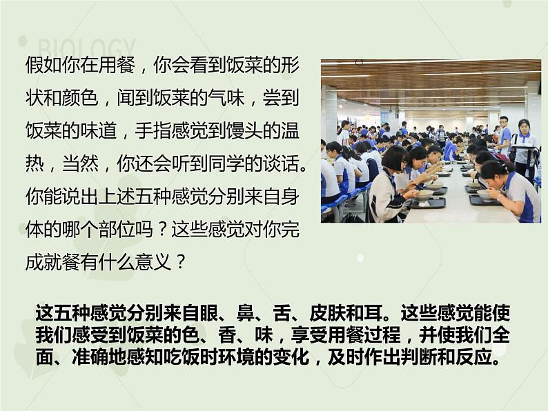 4.6.1人体对外界环境的感知(教学课件)-2022-2023学年初中生物人教版七年级下册第2页