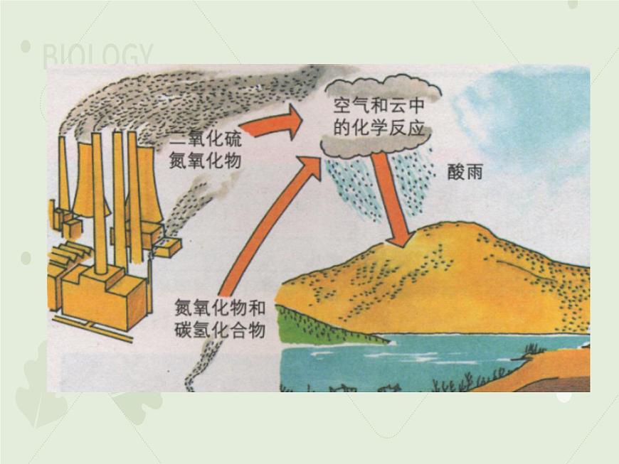 4.7.2探究環(huán)境污染對生物的影響(教學課件)-2022-2023學年初中生物人教版七年級下冊第5頁