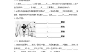 七年级下册第五章 人体内废物的排出学案设计