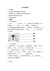 七年级下册第五章 人体内废物的排出学案设计