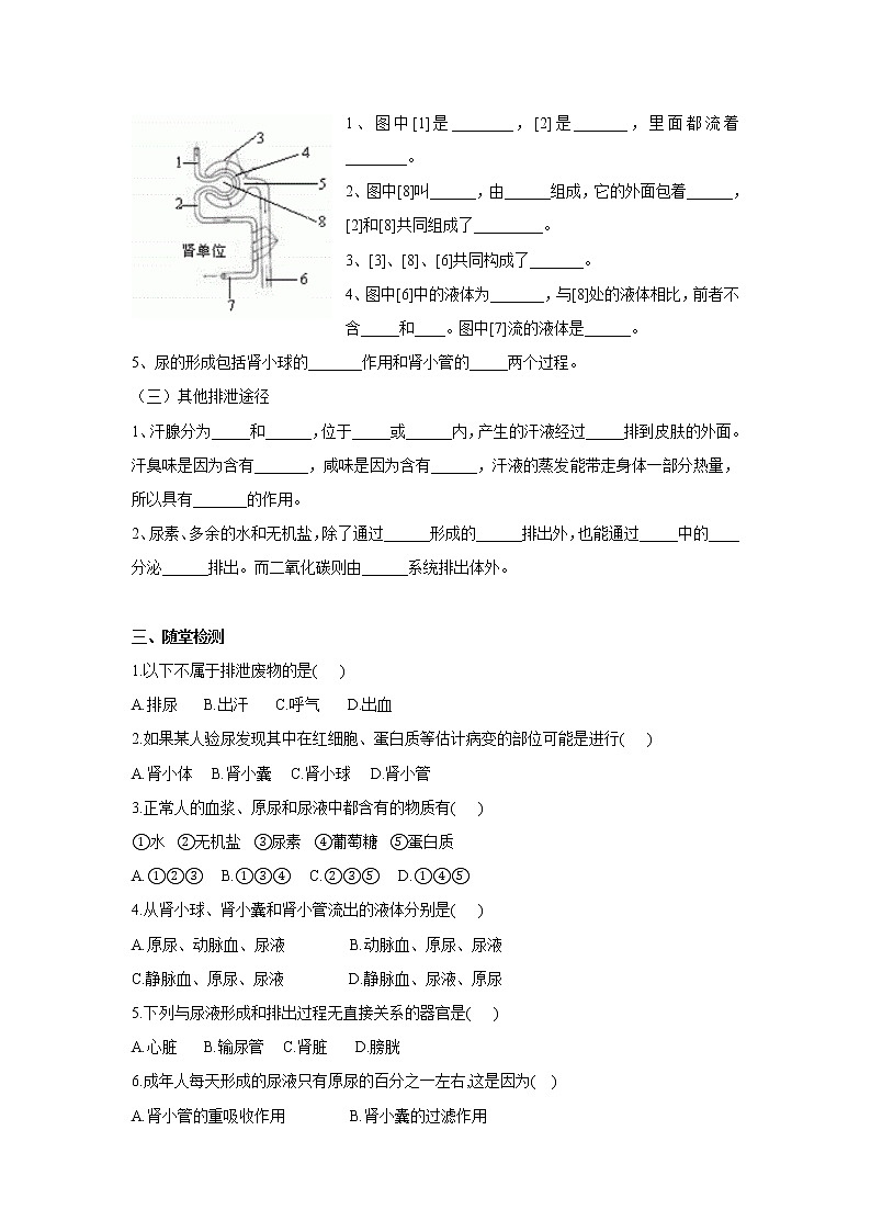4.5人体内废物的排出(学案)-2022-2023学年初中生物人教版七年级下册第2页