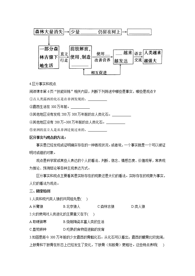 4.1.1人類的起源和發(fā)展(學案)-2022-2023學年初中生物人教版七年級下冊第2頁