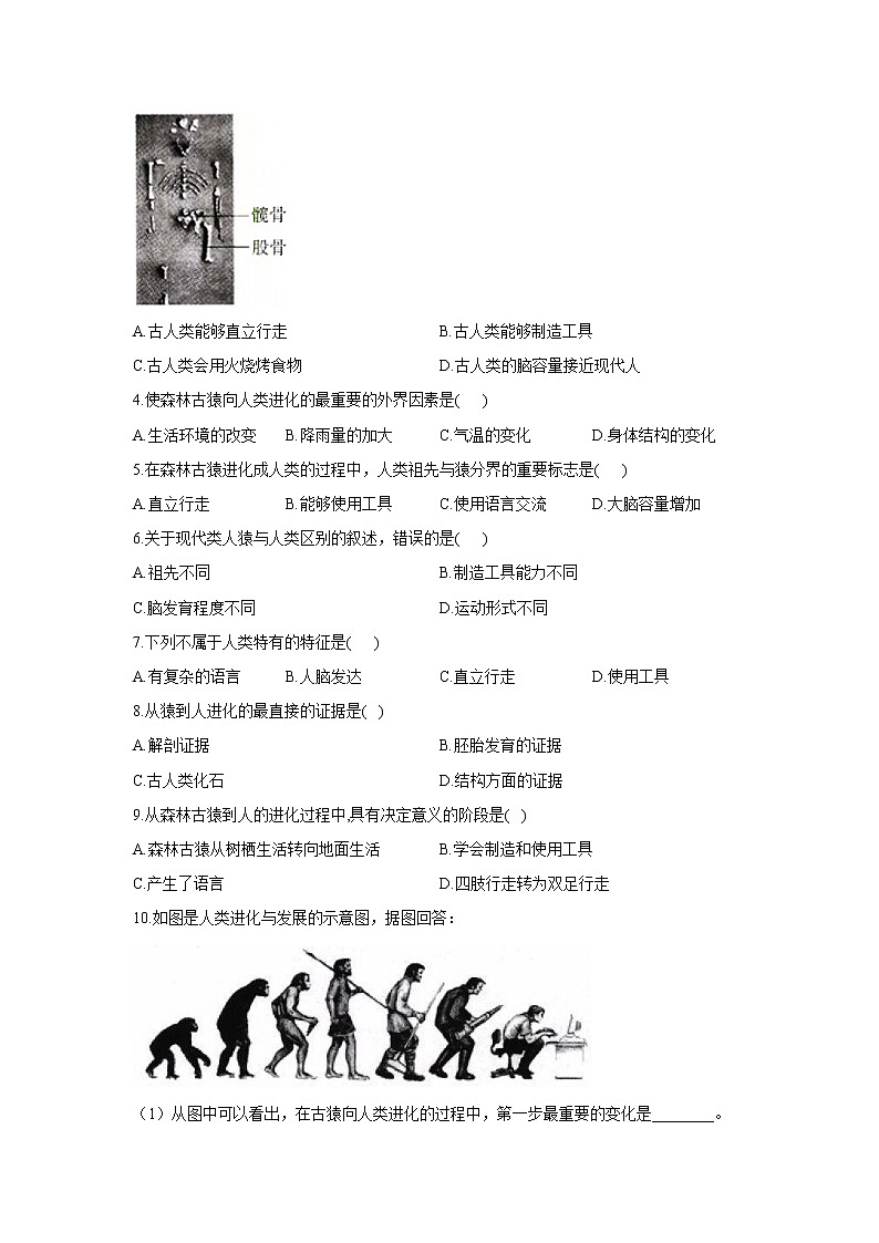 4.1.1人類的起源和發(fā)展(學案)-2022-2023學年初中生物人教版七年級下冊第3頁