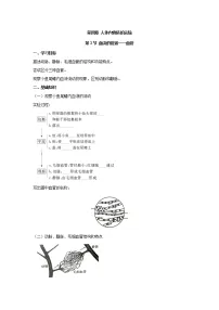 初中生物冀少版七年级下册血管学案