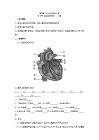 初中生物心脏学案设计