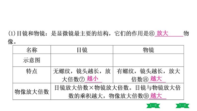 中考生物总复习课件1.第一章 细胞是生命活动的基本单位第4页