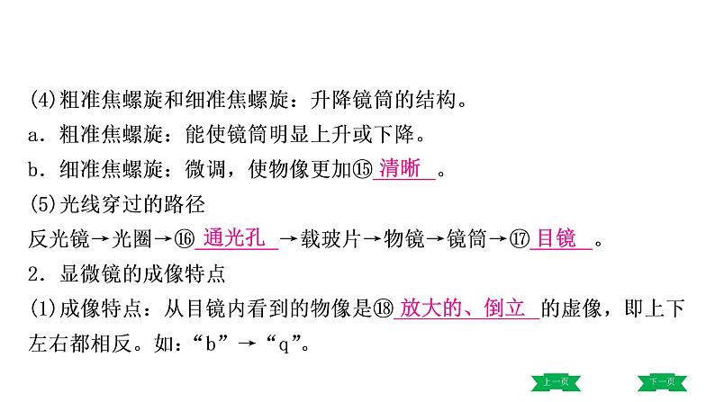 中考生物总复习课件1.第一章 细胞是生命活动的基本单位第7页