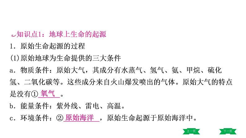 中考生物总复习课件3.第三章 生命起源和生物进化第3页