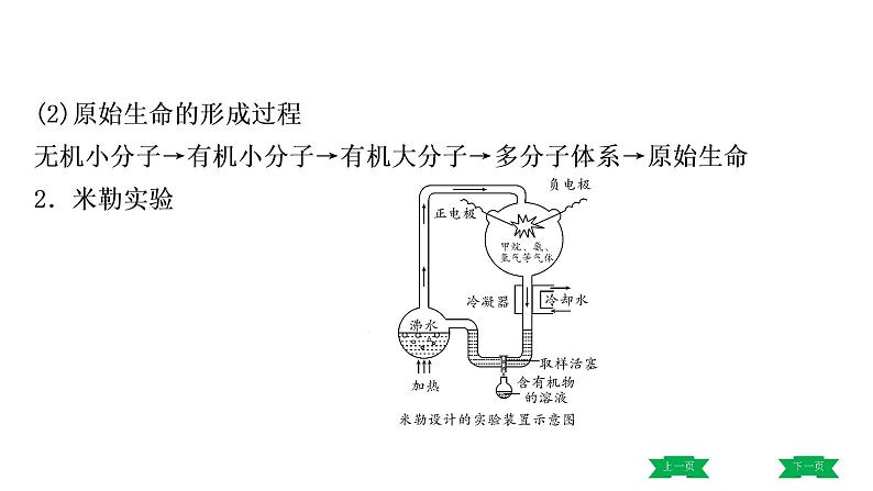 中考生物总复习课件3.第三章 生命起源和生物进化第4页