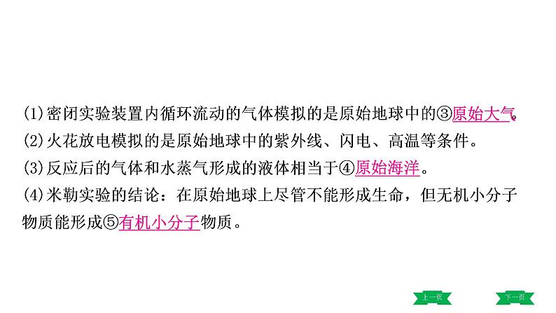 中考生物总复习课件3.第三章 生命起源和生物进化第5页