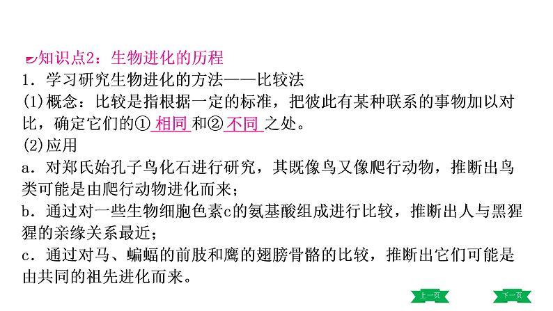中考生物总复习课件3.第三章 生命起源和生物进化第6页