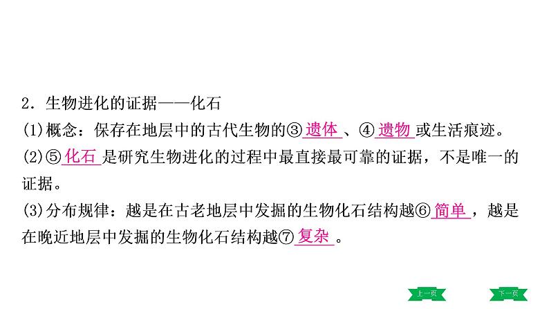 中考生物总复习课件3.第三章 生命起源和生物进化第7页