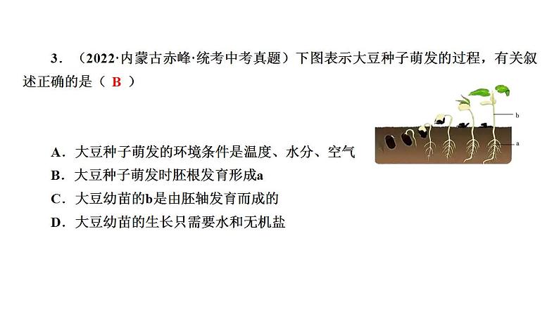 中考生物一轮复习精讲课件-- 被子植物的一生第8页