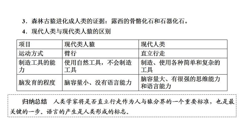 中考生物一轮复习精讲课件-- 人的由来第5页
