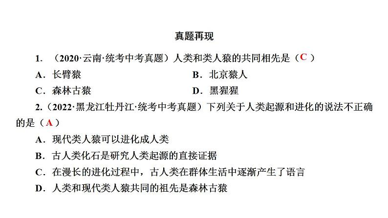 中考生物一轮复习精讲课件-- 人的由来第6页