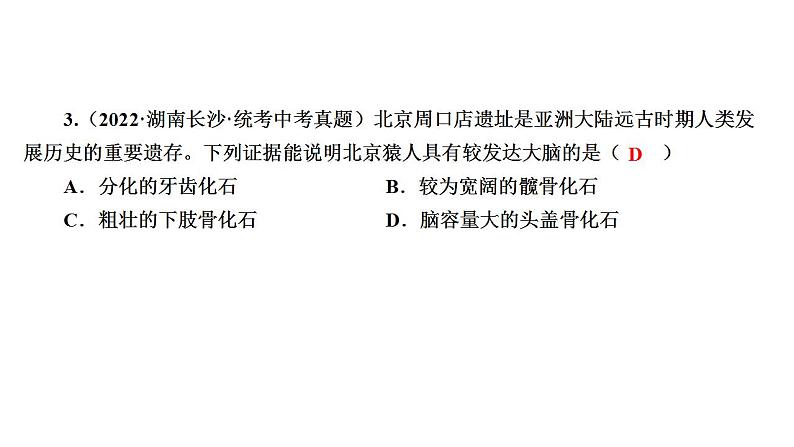中考生物一轮复习精讲课件-- 人的由来第7页