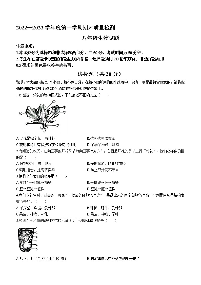 山东省菏泽市东明县2022-2023学年八年级上学期期末生物试题(含答案)第1页