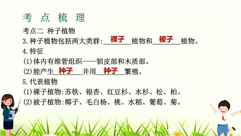 中考生物复习专题二第3章植物的主要类群课件第5页