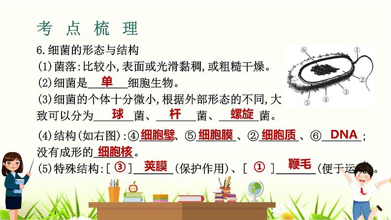中考生物复习专题二第5章细菌、真菌与病毒课件第7页
