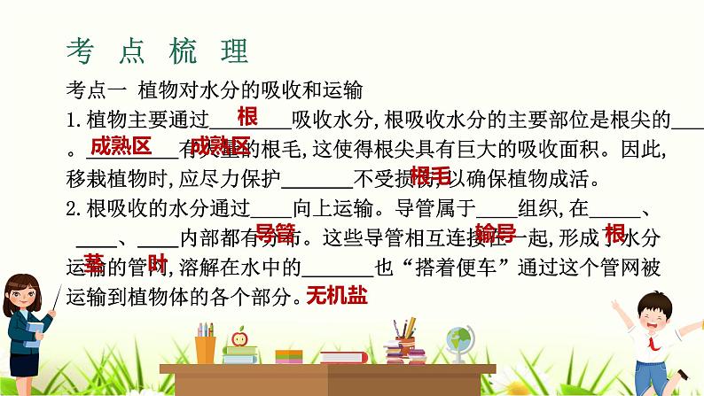 中考生物复习专题四第9章绿色植物与生物圈的水循环课件第3页