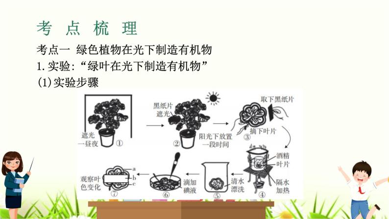 中考生物复习专题四第10章绿色植物是生物圈中有机物的制造者课件03