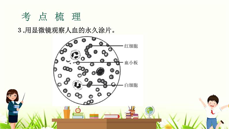 中考生物复习专题五第14章人体内物质的运输课件第4页