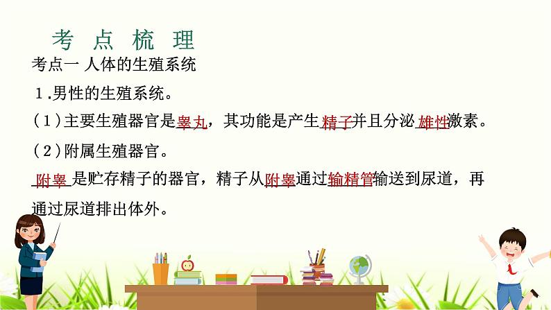 中考生物复习专题六第19章人的生殖和发育课件第3页