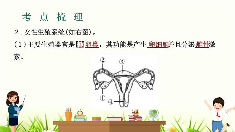 中考生物复习专题六第19章人的生殖和发育课件第4页
