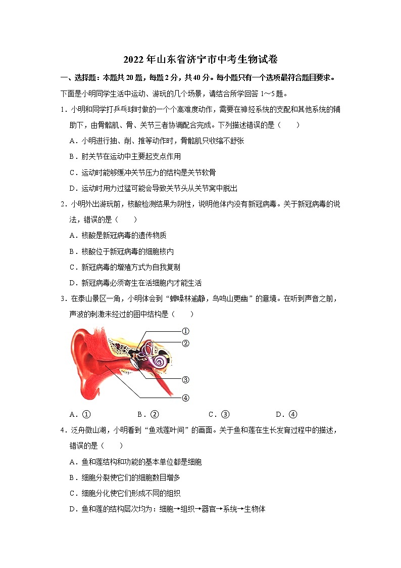 2022年山东省济宁市中考生物试卷含答案01