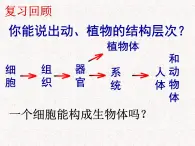 苏科版七下生物 9.3 单细胞的生物体 课件