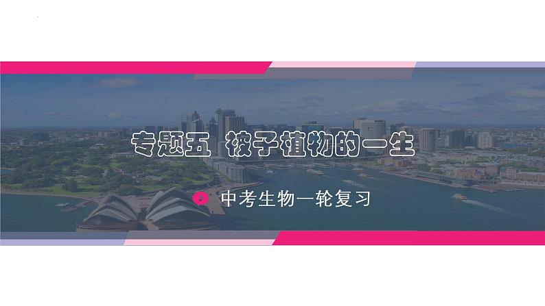 中考生物一轮复习讲练测--专题05 被子植物的一生(精品课件)第1页