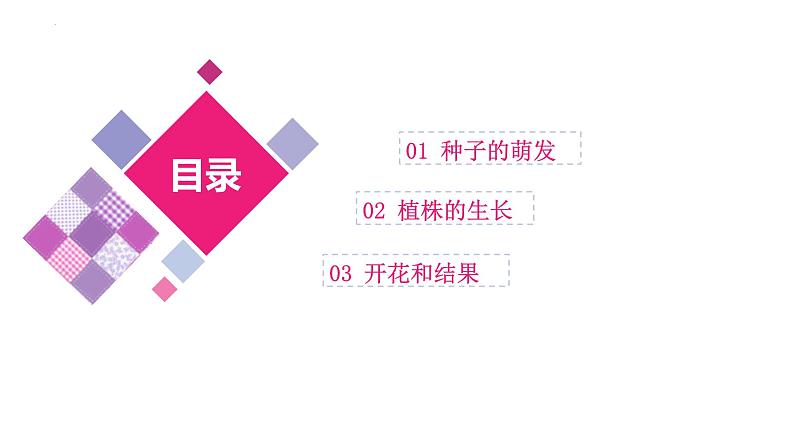 中考生物一轮复习讲练测--专题05 被子植物的一生(精品课件)第3页