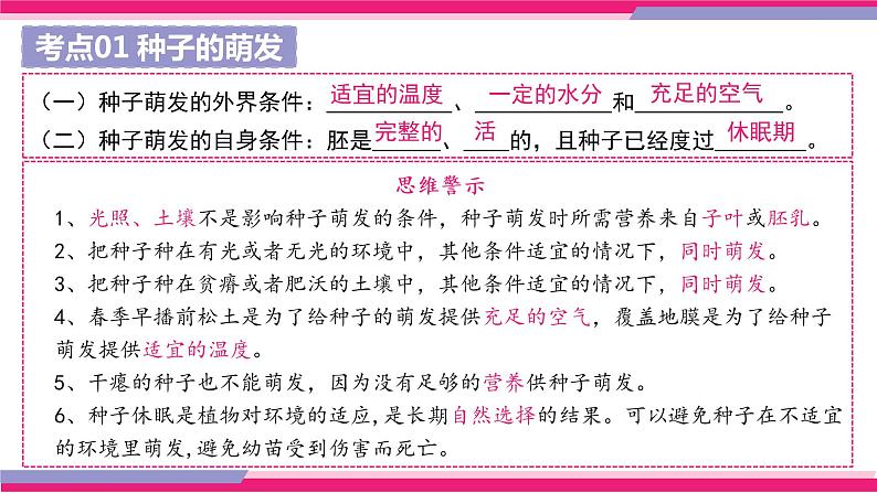 中考生物一轮复习讲练测--专题05 被子植物的一生(精品课件)第6页