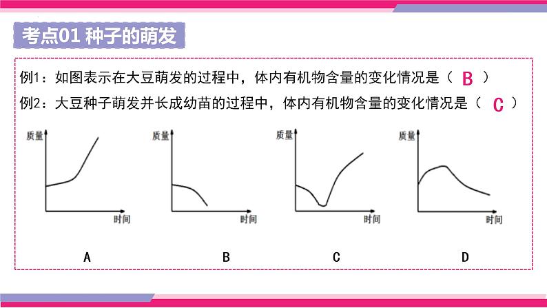 中考生物一轮复习讲练测--专题05 被子植物的一生(精品课件)第8页