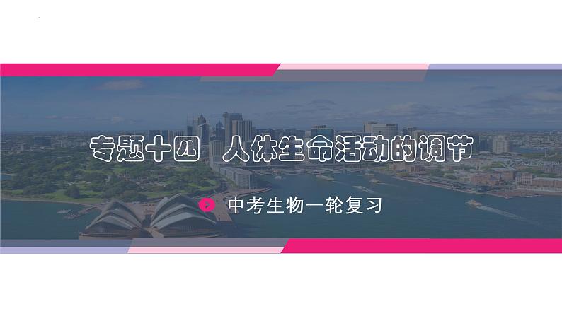 中考生物一轮复习讲练测--专题14 人体生命活动的调节(精品课件)第1页