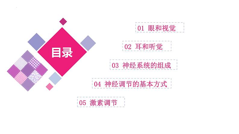 中考生物一轮复习讲练测--专题14 人体生命活动的调节(精品课件)第3页