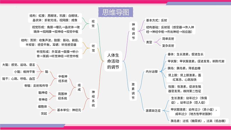 中考生物一轮复习讲练测--专题14 人体生命活动的调节(精品课件)第5页