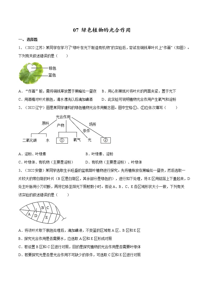 中考生物复习--专题07 绿色植物的光合作用(原卷版解析版)第1页