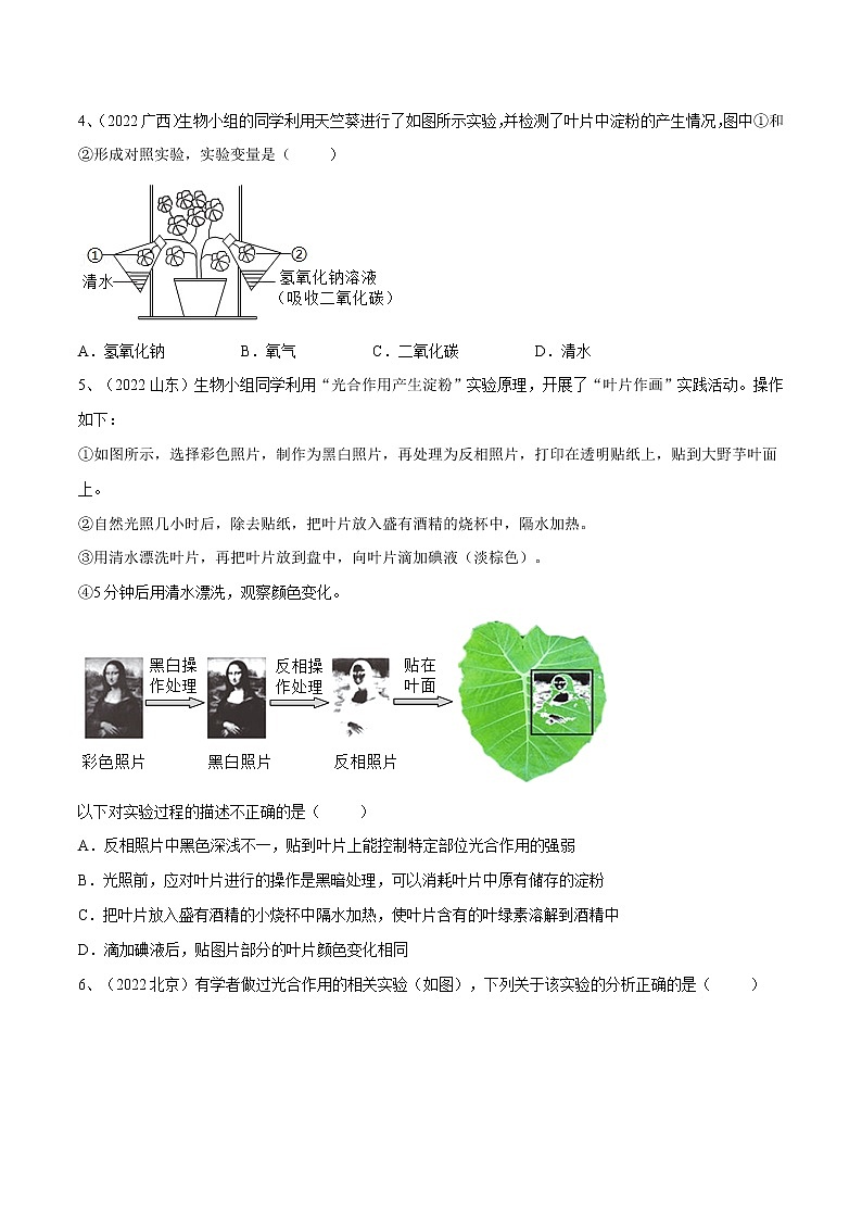 中考生物复习--专题07 绿色植物的光合作用(原卷版解析版)第2页