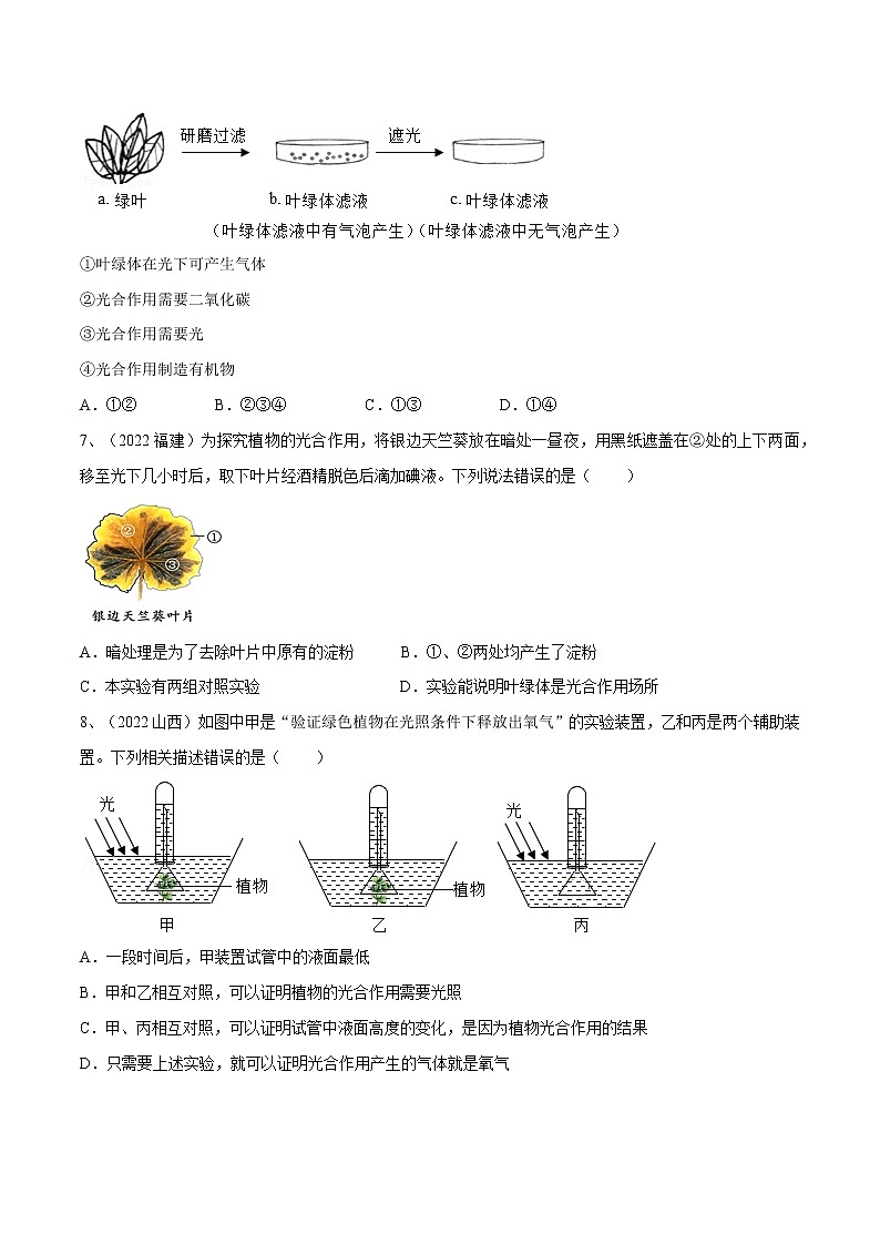 中考生物复习--专题07 绿色植物的光合作用(原卷版解析版)第3页