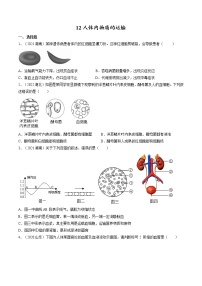 中考生物復(fù)習(xí)--專題12 人體內(nèi)物質(zhì)的運輸（原卷版解析版）