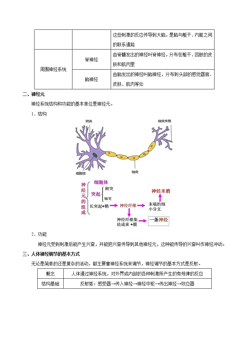 中考生物考点一遍过 考点27 神经系统的组成和神经调节的基本方式第2页