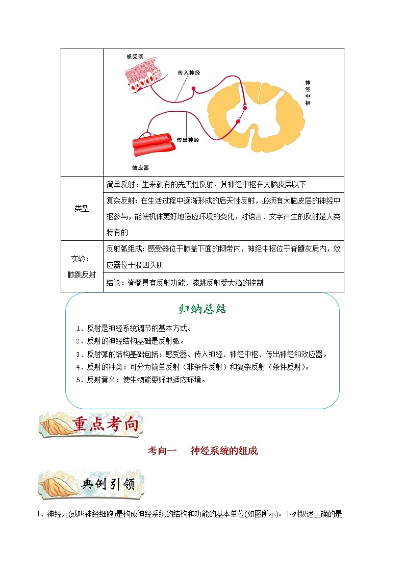 中考生物考点一遍过 考点27 神经系统的组成和神经调节的基本方式第3页