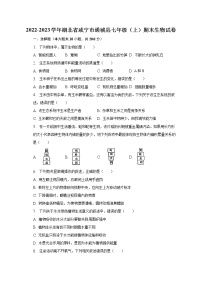 2022-2023学年湖北省咸宁市通城县七年级（上）期末生物试卷（含解析）