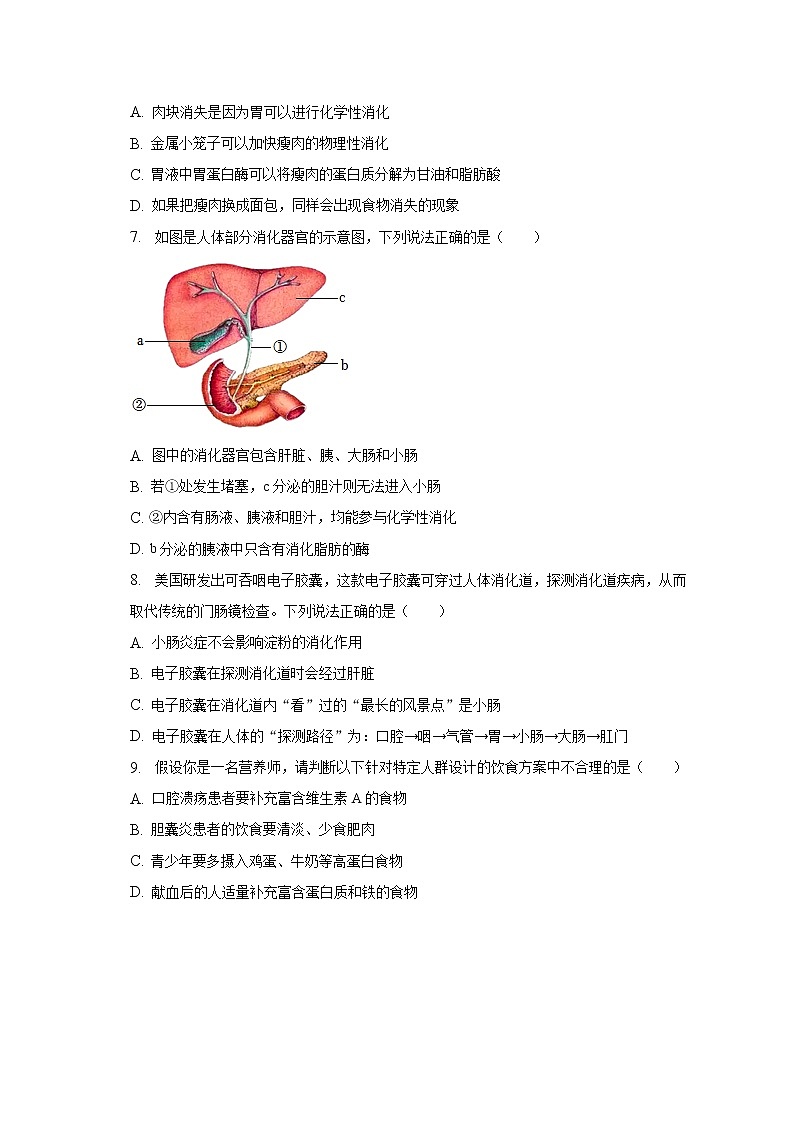 2022-2023学年山东省烟台市栖霞市七年级(上)期末生物试卷(五四学制)(含解析)02