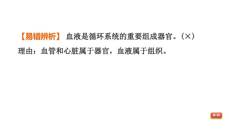 人教版中考生物一轮复习--第11课时 人体生命活动的能量供给(复习课件)第6页