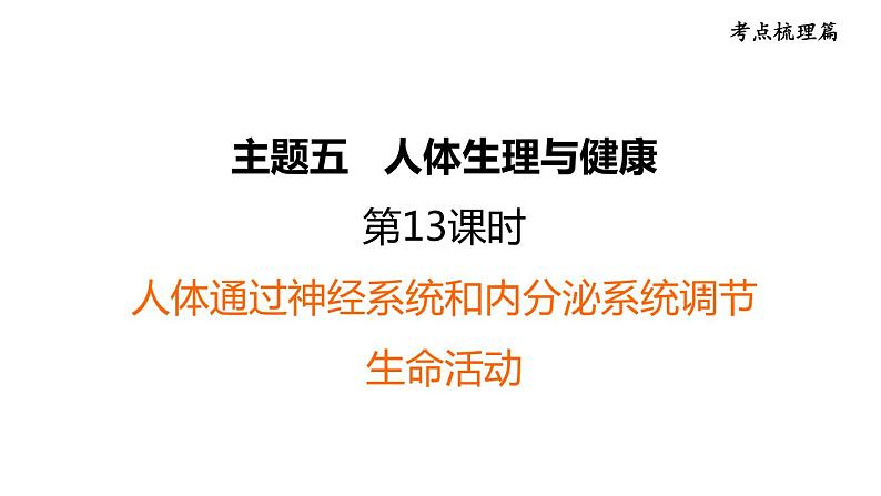 人教版中考生物一轮复习--第13课时 人体通过神经系统和内分泌系统调节生命活动(复习课件)第1页